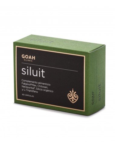 GOAH CLINIC SILUIT