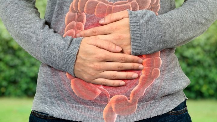 Permeabilidad intestinal
