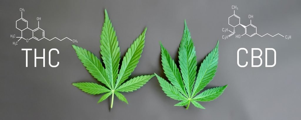 El CANNABIDIOL (CBD)