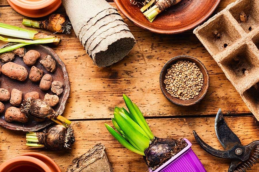 Què és l’astènia primaveral?